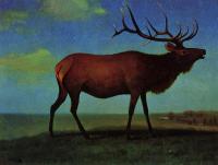 Bierstadt, Albert - Elk